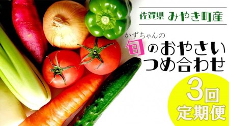CC003_【3回定期便】かずちゃんの朝採り新鮮野菜セット毎月３回お届け みやき町産