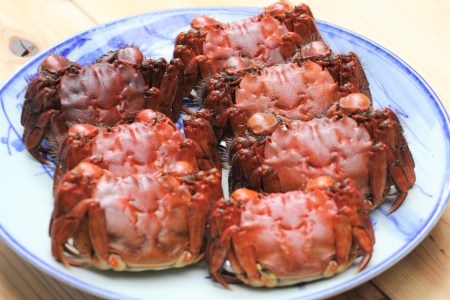 【期間限定】天然活きモクズガニ 約1kg（6～10匹、オス・メス混合） ネットに入れてお届け 下処理不要 調理レシピ付き AB4027　 