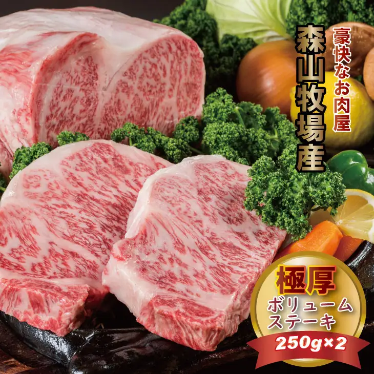 黒毛和牛 ロースステーキ 250g×2 ステーキ 牛肉  C270-001