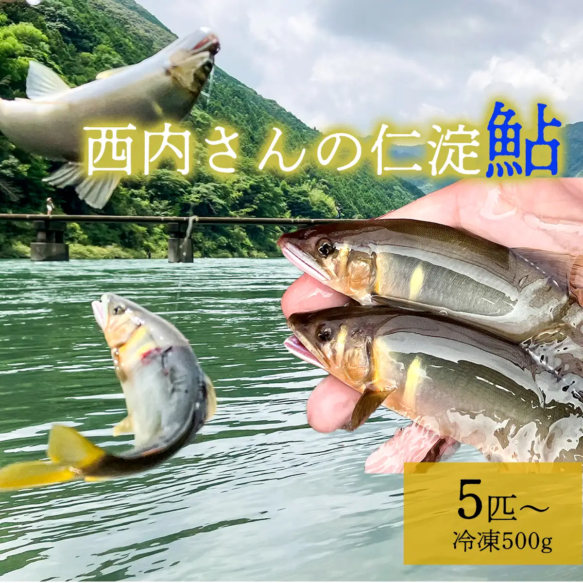 鮮度にこだわり！仁淀鮎★5尾～(冷凍500g) ★