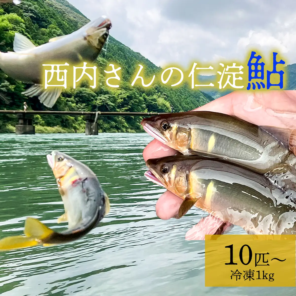 鮮度にこだわり！仁淀鮎★10尾～(冷凍1kg) ★