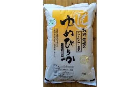 ＜令和5年産＞らんこし米 ゆめぴりか 5kg（坂野農場）