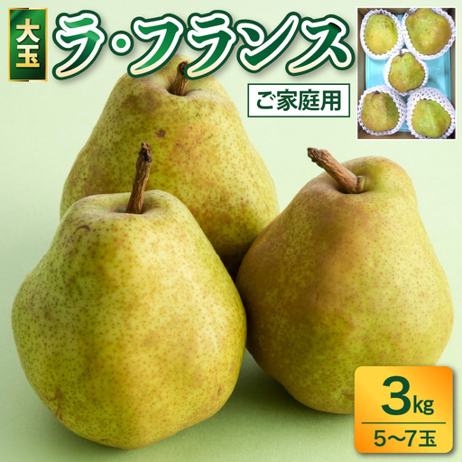 ラフランス 3kg 大玉 ご家庭用 5玉~7玉 7L~5L 西洋梨 ラ・フランス フルーツ 果物 0017-2616