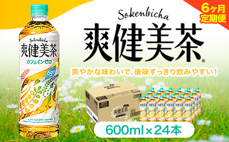 6ヶ月定期便 爽健美茶 600ml×24本 コカ・コーラボトラーズジャパン（株）