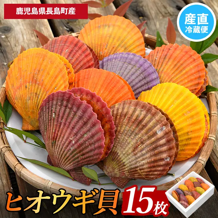 ＜先行受付＞長島特産！ヒオウギ貝(15個) 【口之福浦ヒオウギ貝出荷グループ】 kuchi-7188