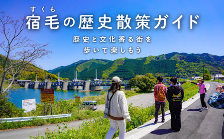 歴史散策ガイド チケット チケット