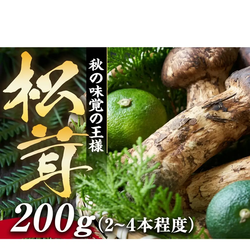 松茸 200g 約2～4本程度 松茸