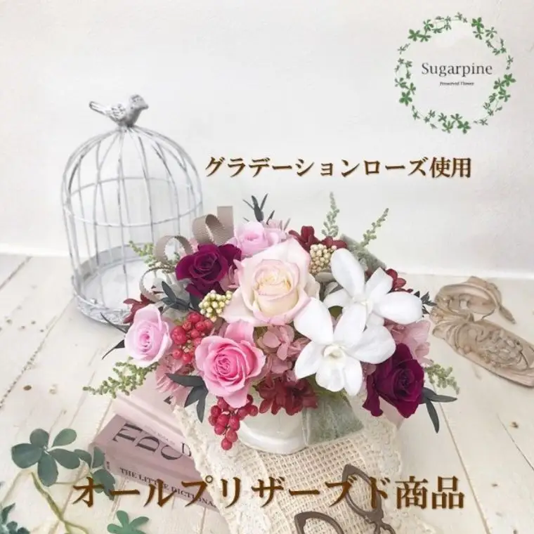 プリザーブドフラワー【シェリ】【埼玉県 春日部市 シュガーパイン ピンクアレンジ ローズ 上品 エレガント インテリア ギフト 母の日 プレゼント】(AJ006-2)