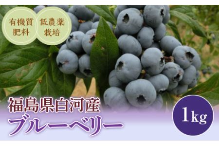 《先行予約》白河産ブルーベリー 1kg F21R-050