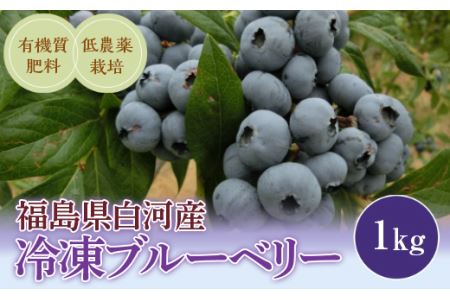 《先行予約》白河産冷凍ブルーベリー 1kg F21R-051