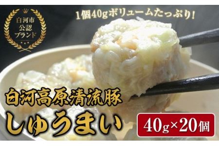「白河高原清流豚」をメイン食材としたしゅうまい 1個40gとボリューム感のある一品（20個入り） F21R-090