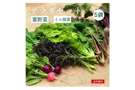 都内マルシェで人気のお野菜！サラダに最適！葉野菜とミニ根菜のセット 5袋 F21R-208