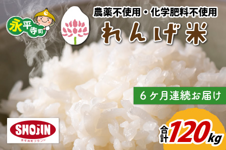 【6ヶ月連続お届け】農薬不使用・化学肥料不使用 永平寺町産 れんげ米 20kg×6ヶ月（計120kg）[L-002019]