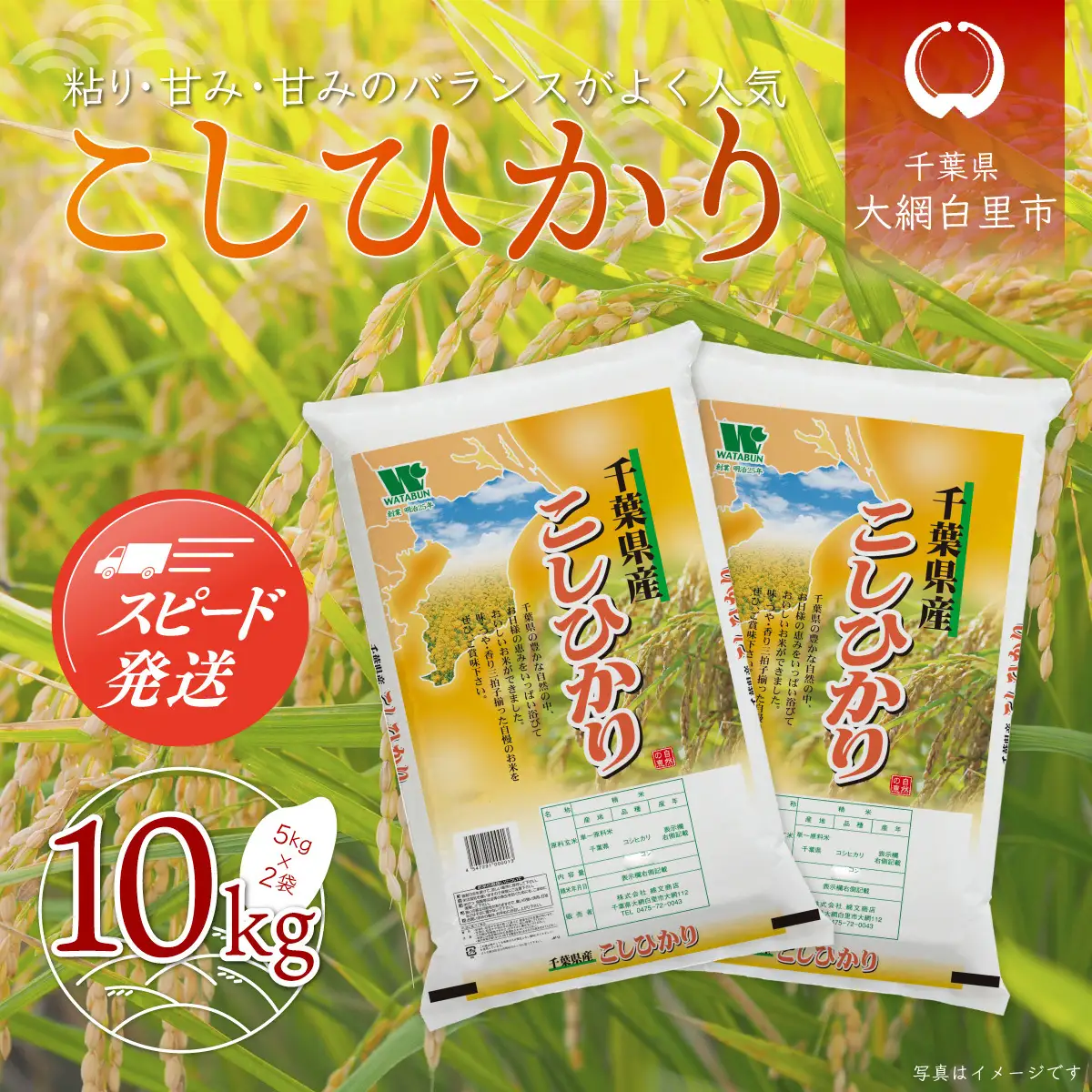 【最短2～7営業日出荷】令和7年産 千葉県産「コシヒカリ」10kg（5kg×2袋）  A011