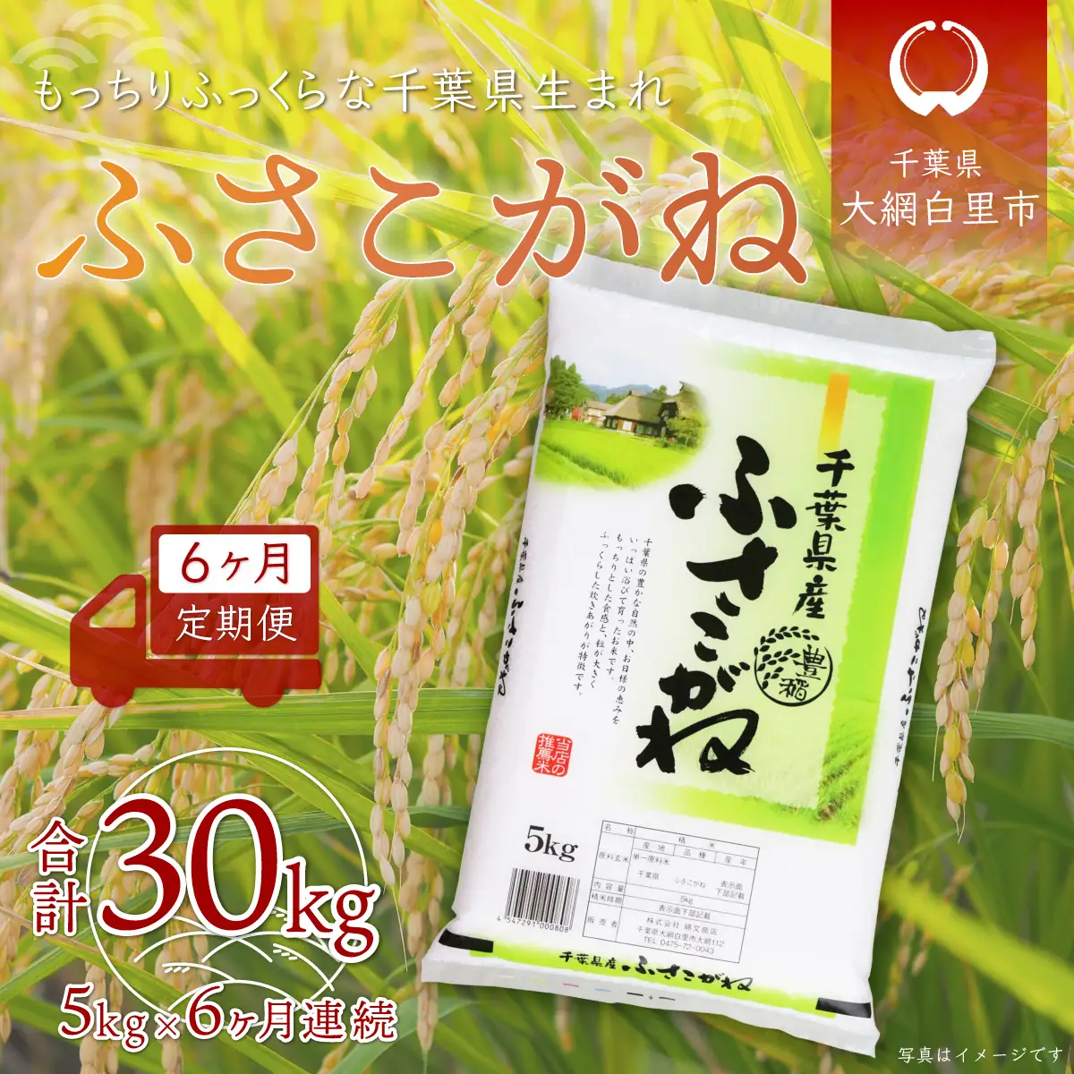 ＜6ヶ月定期便＞千葉県産「ふさこがね」5kg×6ヶ月連続 計30kg A021