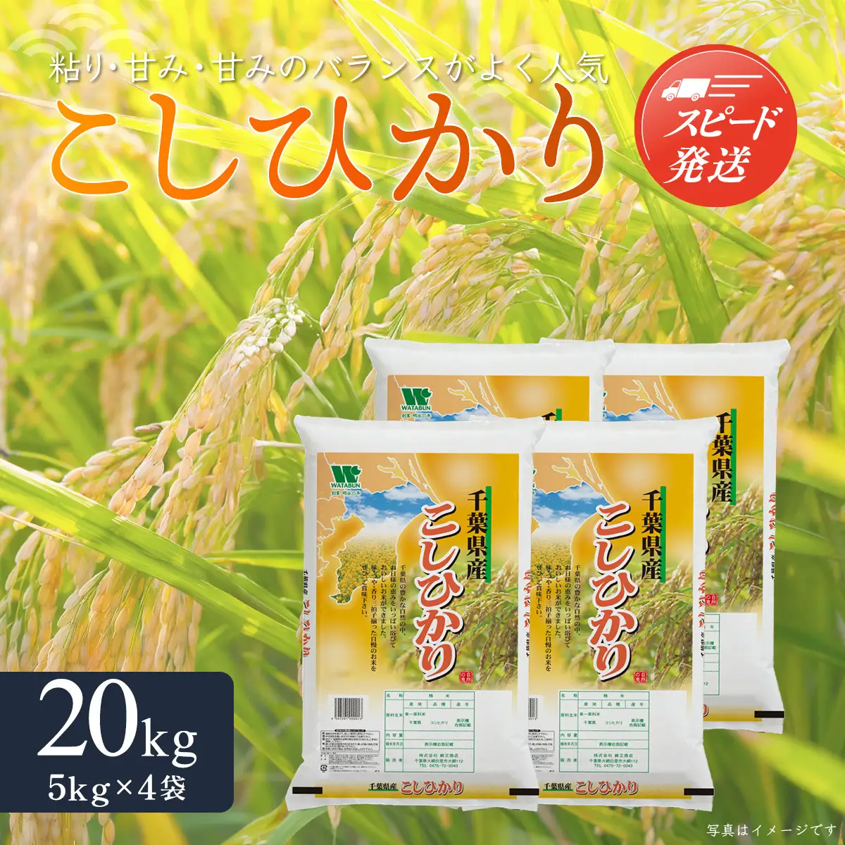 【最短2～7営業日出荷】令和7年産 千葉県産「コシヒカリ」20kg（5kg×4袋） A024