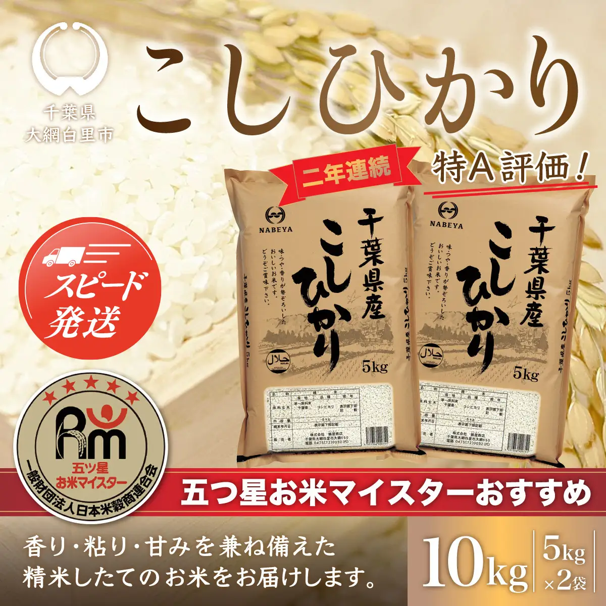 【最短2～7営業日出荷】令和7年産 2年連続特A評価!千葉県産コシヒカリ10kg（5kg×2袋） E001