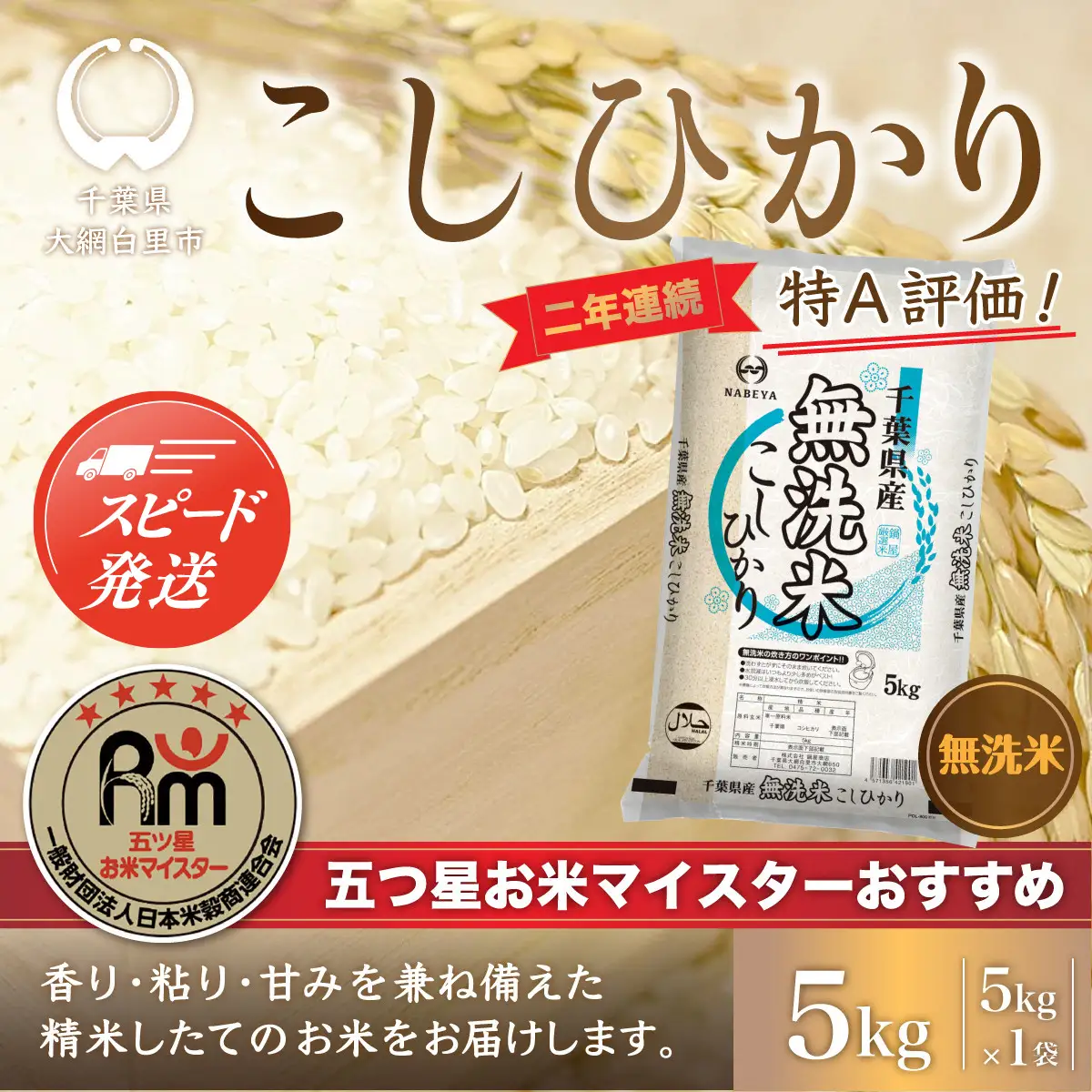 【最短2～7営業日出荷】令和7年産 2年連続特A評価!千葉県産コシヒカリ5kg無洗米（5kg×1袋） E008