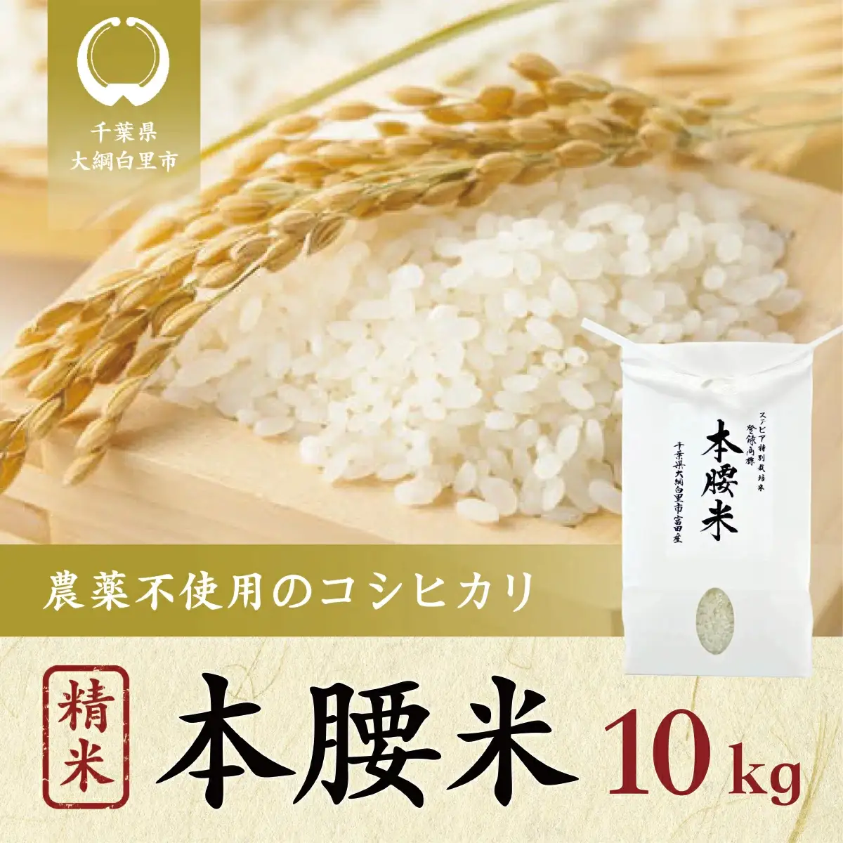 令和8年産 本腰米10kg 精米 千葉県産コシヒカリ 農薬不使用 【 ふるさと納税 お米 10kg 千葉県産 大網白里市 コシヒカリ 農薬不使用 米 精米 こめ 送料無料 】F003