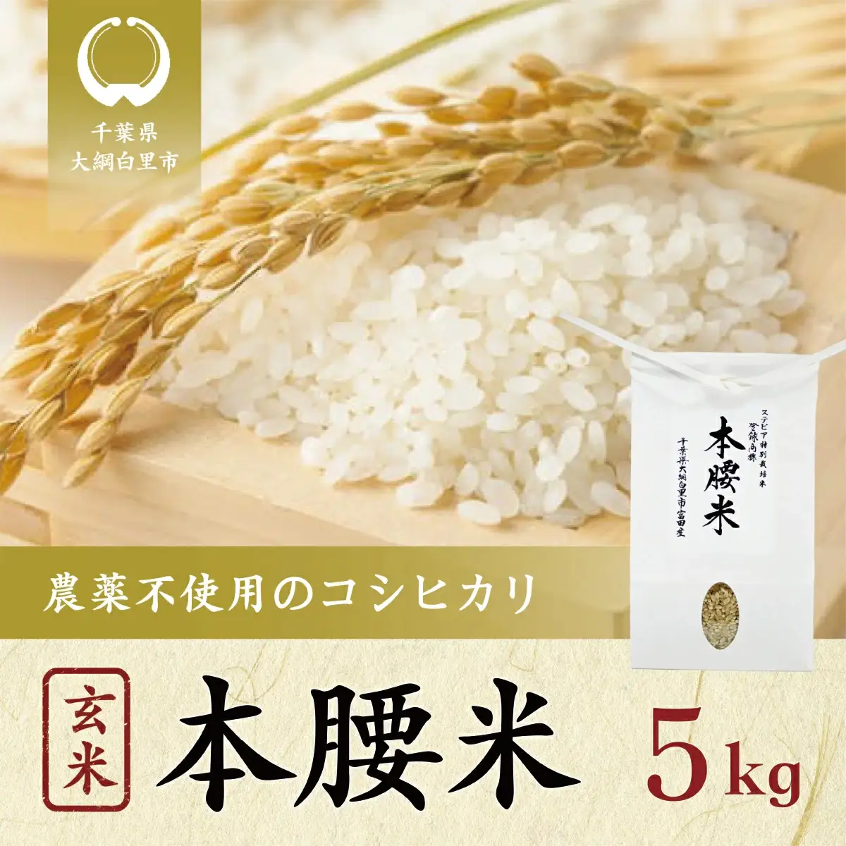 令和8年産 本腰米5kg 玄米 千葉県産コシヒカリ 農薬不使用 【 ふるさと納税 お米 5kg 千葉県産 大網白里市 コシヒカリ 農薬不使用 米 玄米 こめ 送料無料 】F005