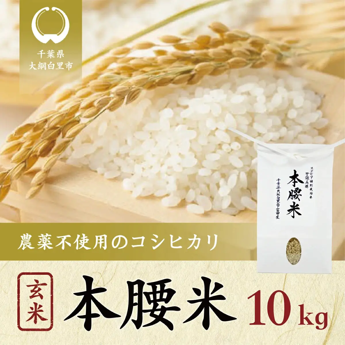 令和8年産 本腰米10kg 玄米 千葉県産コシヒカリ 【 ふるさと納税 農薬不使用 お米 10kg 千葉県産 大網白里市 コシヒカリ 農薬不使用 米 玄米 こめ 送料無料 】F006