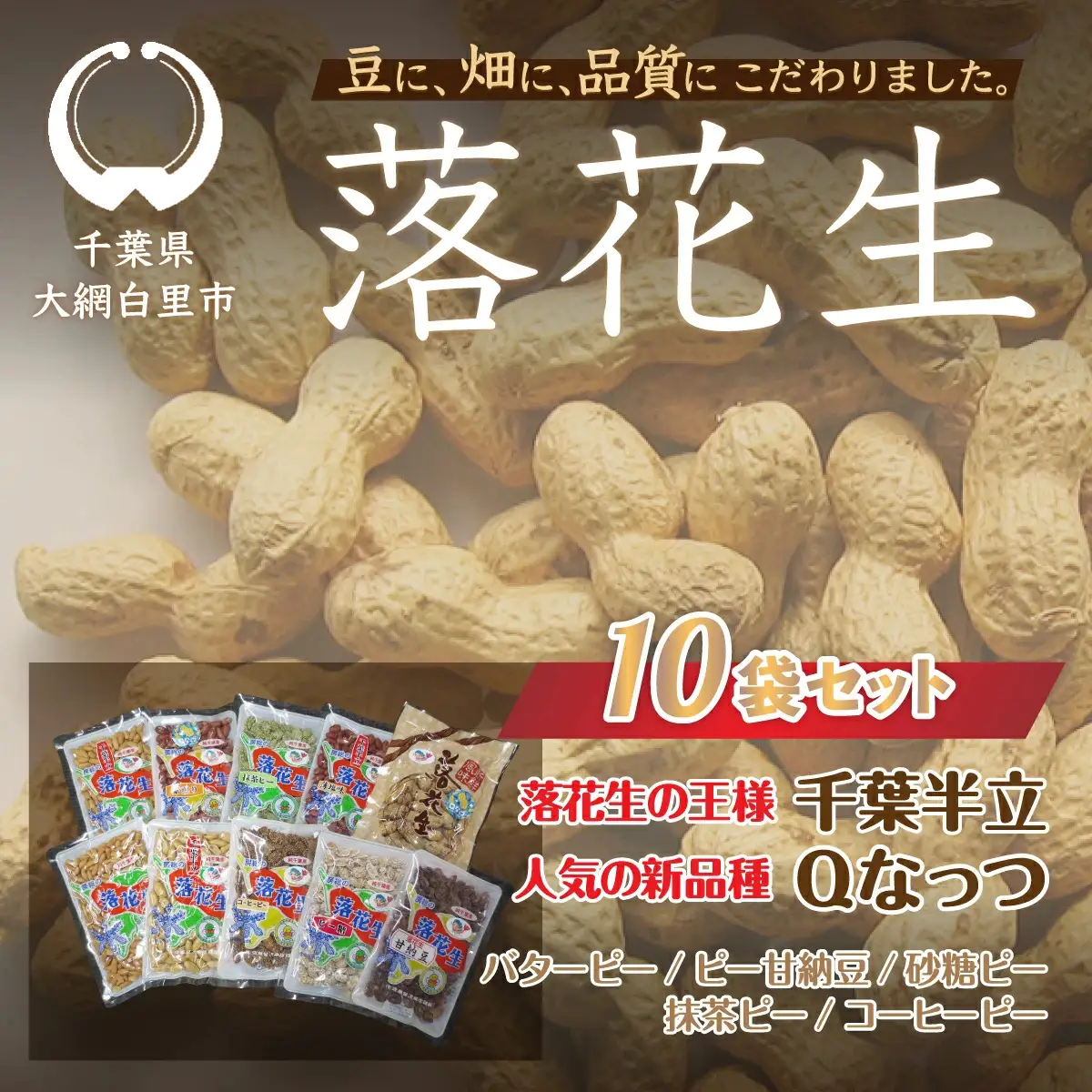 千葉県 大網白里市産 落花生10袋セット