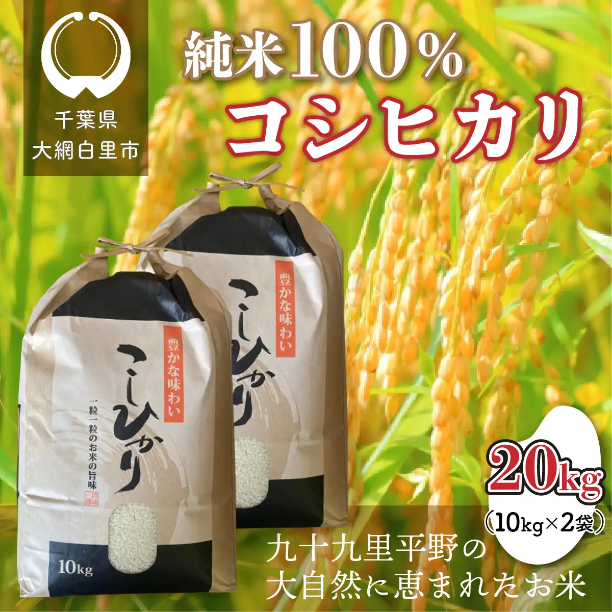 【令和8年産】千葉県 大網白里市産 コシヒカリ 20kg（10kg×2袋） お米 20kg 千葉県産 大網白里市 コシヒカリ 米 精米 こめ 送料無料 J003