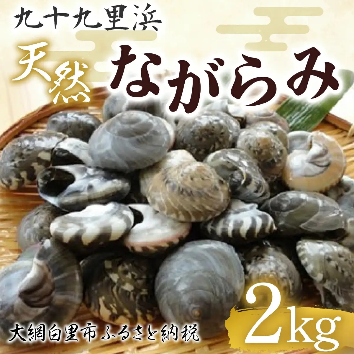 九十九里浜　天然ながらみ　2kg【名産】 ふるさと納税 ながらみ 幻の貝 九十九里産 貝 国産 千葉県 大網白里市 送料無料 P006