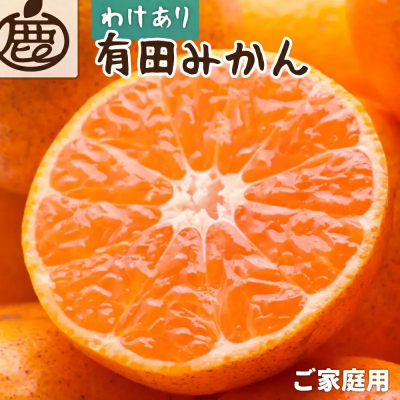 【先行予約】家庭用 有田みかん（完熟）5kg+250g（傷み補償分）※北海道・沖縄・離島への配送不可 / みかん 果物 柑橘 フルーツ ミカン 有田みかん【ikd007D】