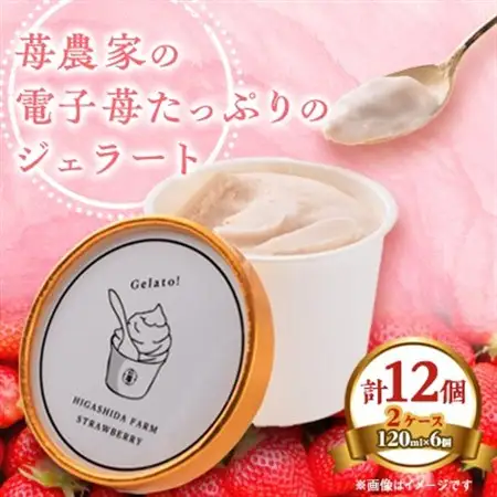 苺農家の電子苺たっぷりのジェラート　12個(6個入り2ケース)_菓子・スイーツ アイス・ジェラート  _【配送不可地域：離島】【1310725】