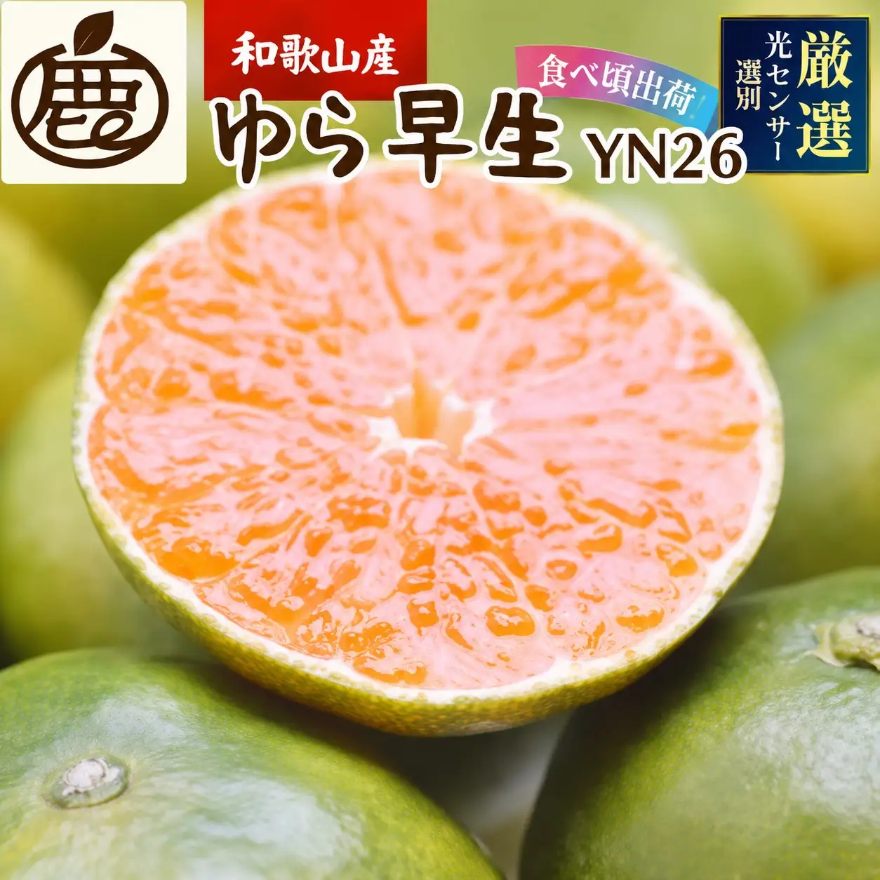 プレミアム 有田みかん（ゆら早生）5kg+250g（傷み補償分）【ikd016C】