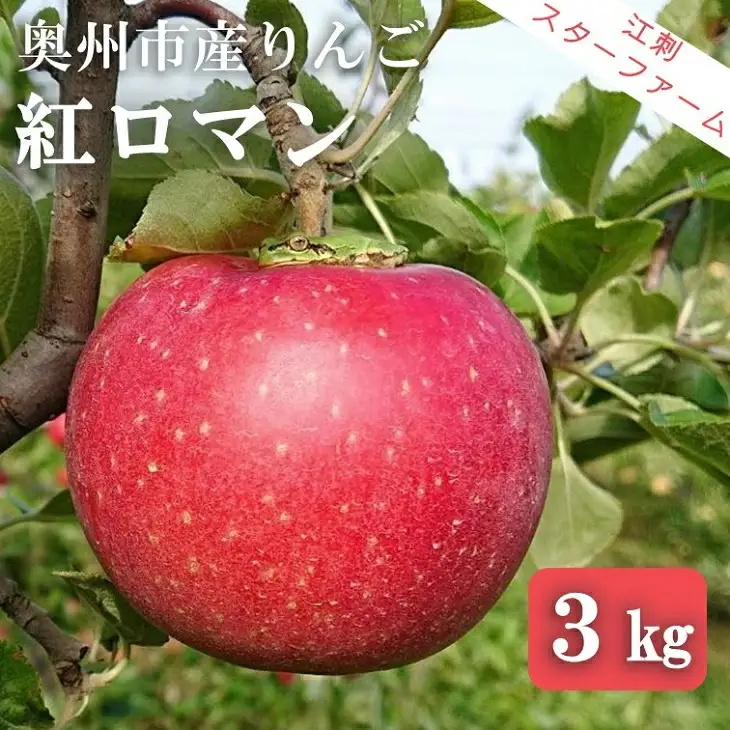 【スターファーム】 こだわり栽培の 紅ロマン 厳選品 約3kg 岩手県奥州市産りんご 産地直送 冷蔵 [AY001]