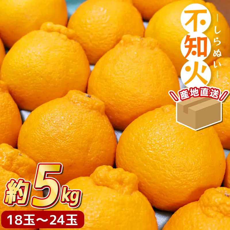 【先行予約】厳選不知火 約5kg ※2027年2月中旬～3月下旬頃【hdm002A】