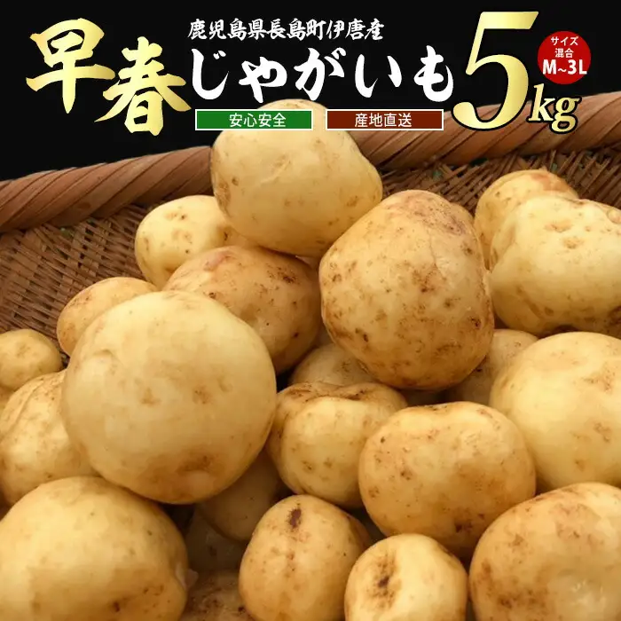 【先行予約】＜数量・期間限定＞ホックホク甘さがある伊唐産早春じゃがいも(約5kg)【旬感foods】horino-7075