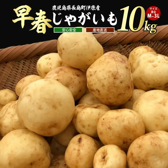 【先行予約】＜数量・期間限定＞ホックホク甘さがある伊唐産早春じゃがいも(約10kg)【旬感foods】horino-7076