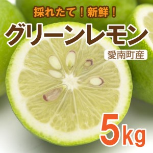 グリーン レモン 檸檬 5kg フルーツ 果物 くだもの 贈答 ギフト ビタミンC クエン酸 疲労 回復 ストレス 解消 免疫力 向上 大容量 国産 産直 皮ごと 丸ごと 愛媛 愛南