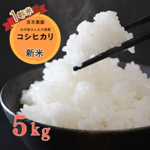 令和 5年 新米 5kg 吉本農園 米 お米 おこめ 白米 国産 コシヒカリ ブランド 炊きたて 冷めても 美味しい 旨味 甘み 愛媛県 愛南町 産 産地 直送 産直