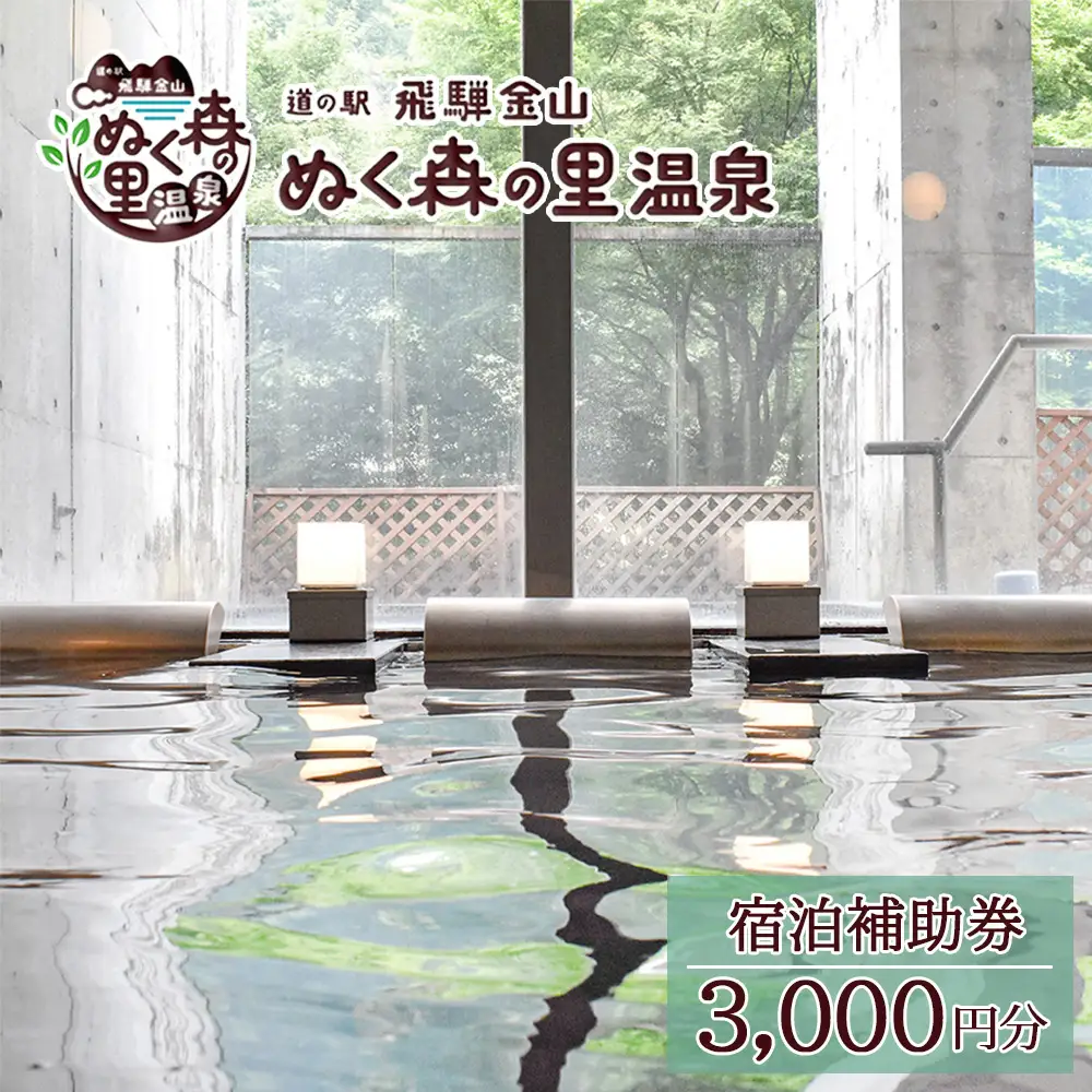 下呂温泉【道の駅 飛騨金山ぬく森の里温泉】宿泊補助券（3,000円分）【a019-1】