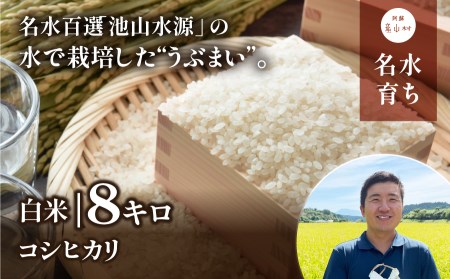 【令和6年産新米】うぶまい（コシヒカリ　白米）8kg〈阿蘇の名水　池山水源米〉