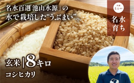 【令和6年産新米】うぶまい（コシヒカリ　玄米）8kg〈阿蘇の名水　池山水源米〉