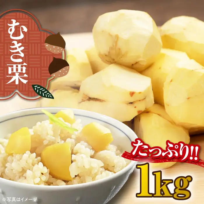 ムキ栗 1.0kg 栗【10月上旬から順次発送】 [AGBN034]