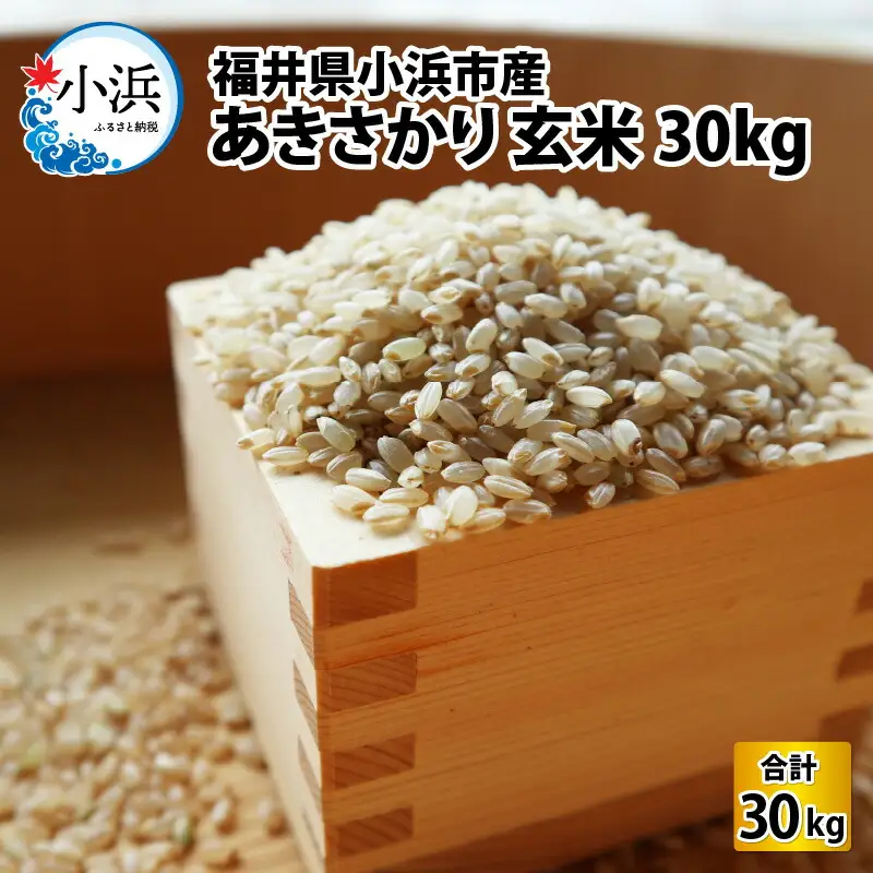 【令和8年産】福井県産あきさかり 玄米 30kg 若狭の恵 玄米 [BFAG015]