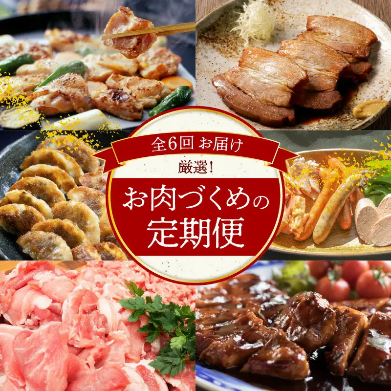 碧南市がチョイスした厳選定期便！ 【全6回】厳選！お肉づくめの定期便　H028-090