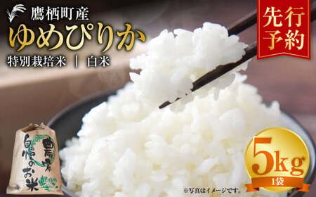  【令和7年産】 ゆめぴりか （白米）  5kg 北海道 鷹栖町 たかすタロファーム 米 コメ こめ ご飯 白米 お米 ゆめぴりか コメ 