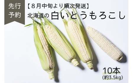 A134 【先行予約】夏限定お届け!フルーティな甘み!ロイシーコーン【北海道の白いとうもろこし】（10本セット）北海道 鷹栖町 原崎農園