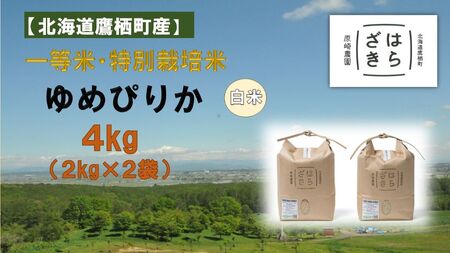 A140【令和６年産】一等米・特別栽培米 ４kg【ゆめぴりか白米】２kg×２（農薬７割減）北海道 鷹栖町 原崎農園 