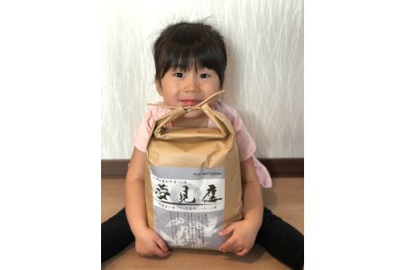 A154 【 令和６年産 】 夢見鷹 ゆめぴりか　おぼろづき　ブレンド 米 （ 白米 ）5㎏ 北海道 鷹栖町 Next Agri．Takasu 米 コメ こめ ご飯 白米 お米 ブレンド