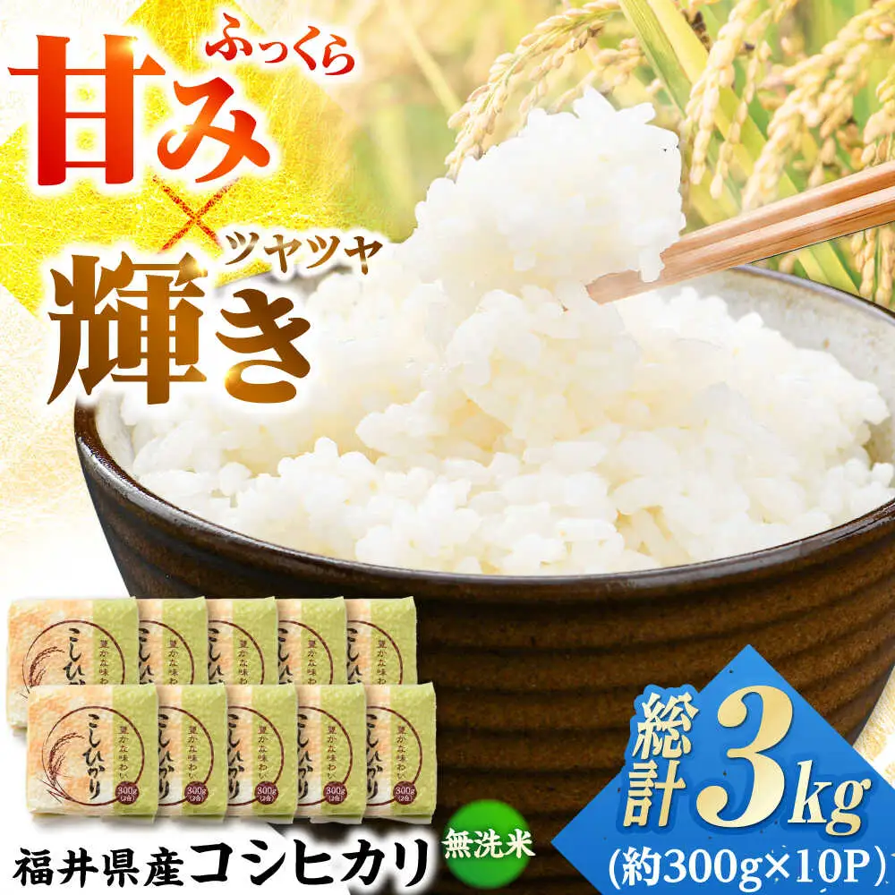 【令和7年産】真空パック 福井県産こしひかり 300g(約2合) × 10パック 計3kg 小浜市 / シマダ農園 [BFAV004]
