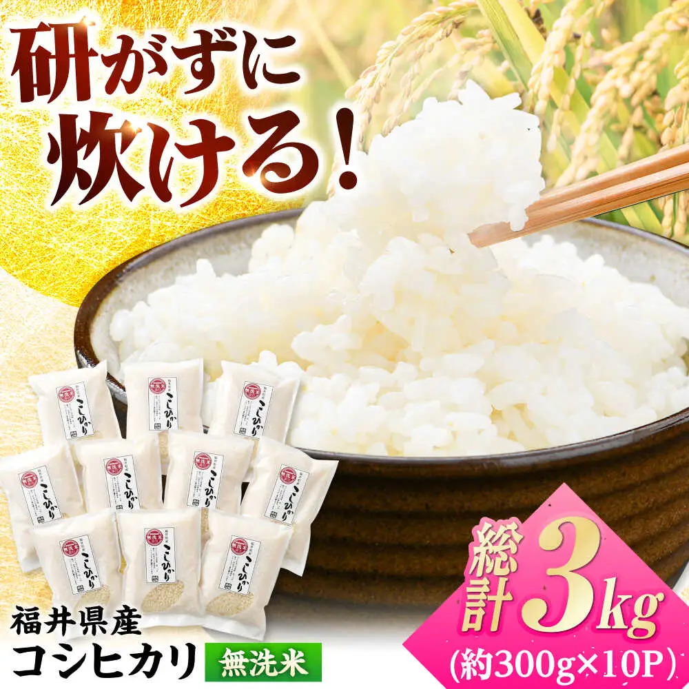 【令和7年産】無洗米 福井県産こしひかり 300g(約2合) × 10パック 計3kg  小浜市 / シマダ農園 [BFAV003]