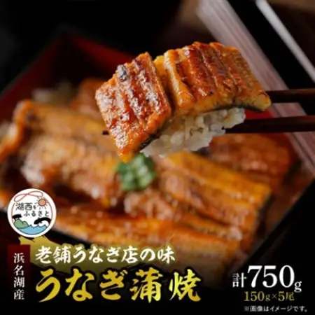 【産地直送】浜名湖産うなぎ蒲焼 約150g×5尾[かわべのうなぎ][冷蔵]_うなぎ 鰻 浜名湖産 産地直送 美味しい_【配送不可地域：離島】【1389398】
